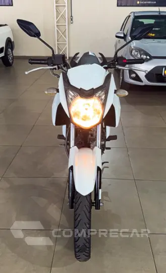 YS150 FAZER SED