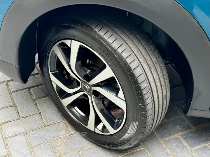 C4 CACTUS 1.6 THP Shine Eat6