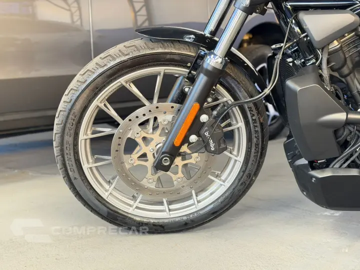 NIGHTSTER NIGHSTER SPECIAL