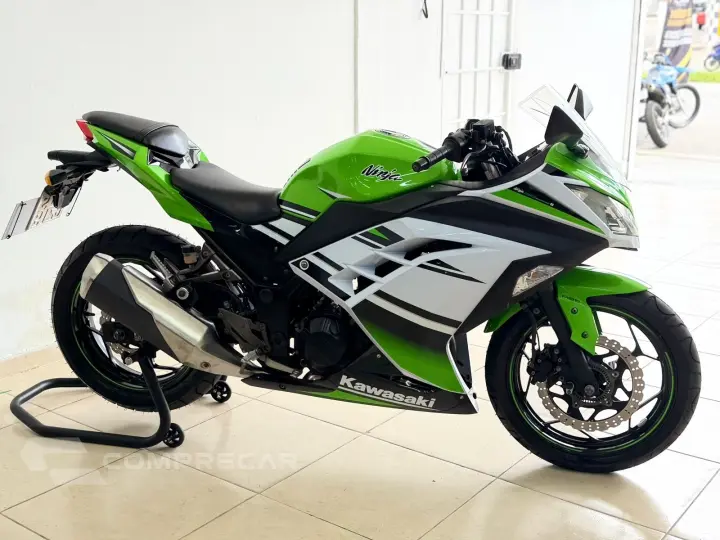 NINJA 300