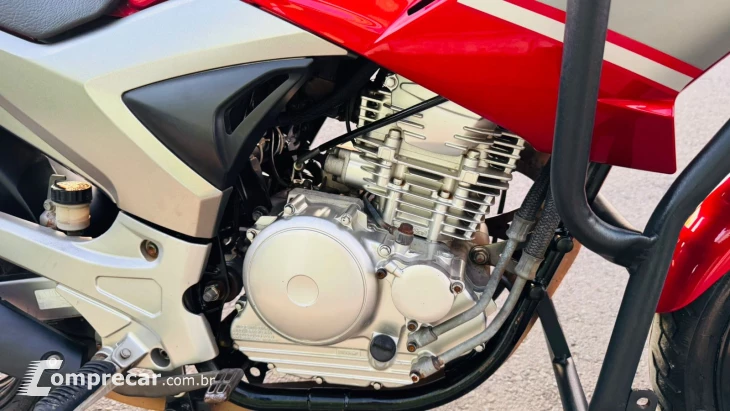 Fazer YS 250