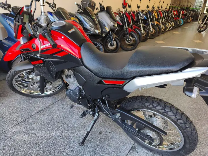 XTZ 250 LANDER 249cc/LANDER BLUEFLEX/ABS