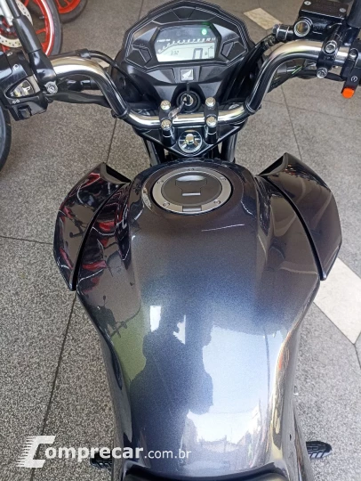 CG 160 FAN Flex