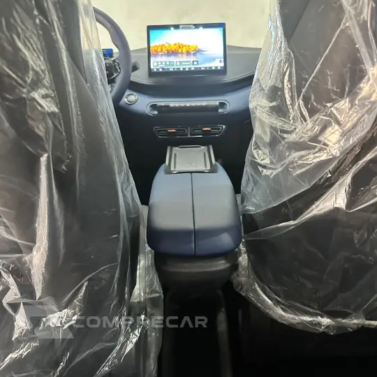 Dolphin Mini (Elétrico)