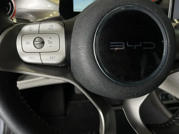 DOLPHIN 44,9 KW ELÉTRICO GS