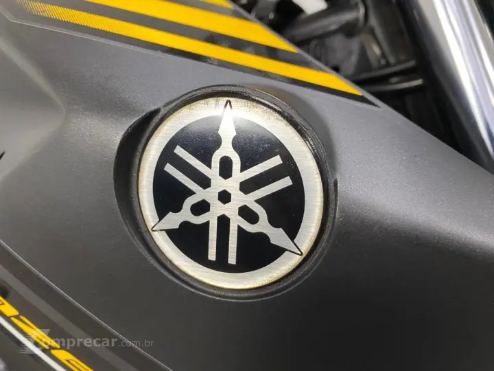 YAMAHA FAZER YS 250