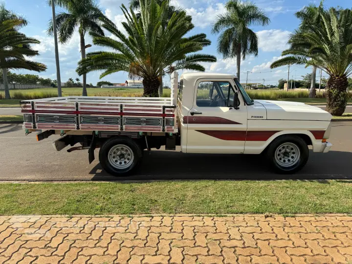 F-1000 3.9 Super Serie 4X2 CS 8V Turbo