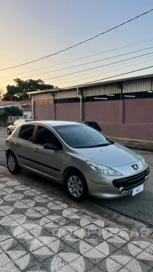 307 1.6 Passion 16V