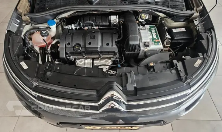 C4CACTUS FEEL AT