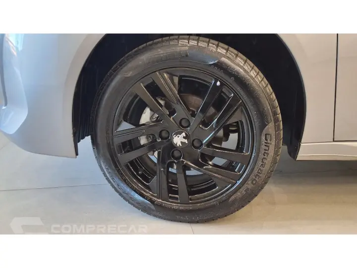 208 1.0 FIREFLY FLEX STYLE MANUAL