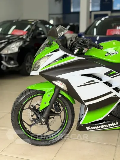 NINJA 300