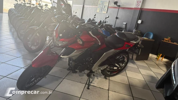 FZ25 ABS