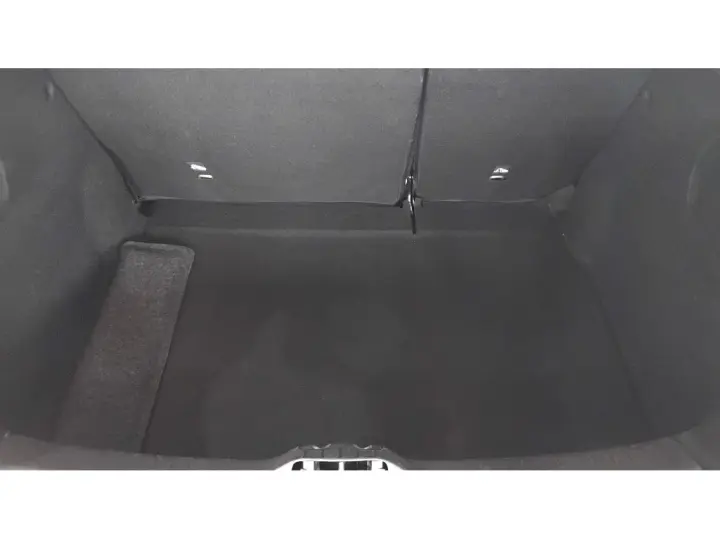 C4 CACTUS 1.6 THP FLEX SHINE EAT6