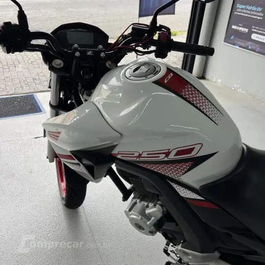 CB 250 TWISTER/FLEXONE