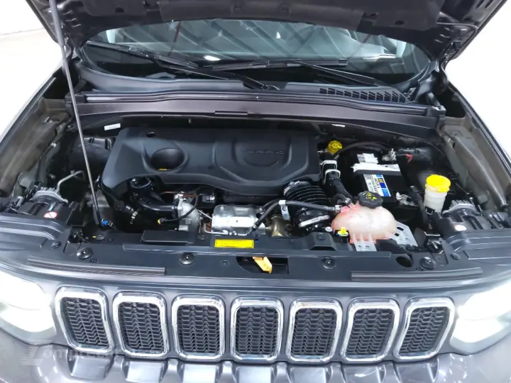 RENEGADE LONGITUDE  T270