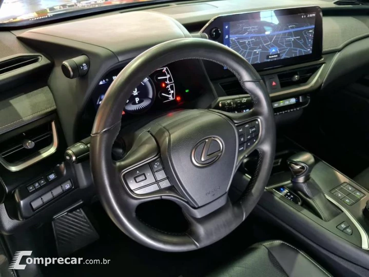 UX250H LUXURY