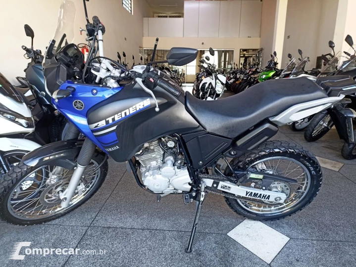 XTZ 250 TENERE/TENERE BLUEFLEX