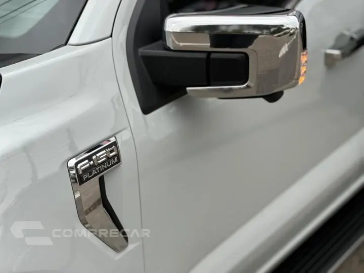 F150 PLATINUM