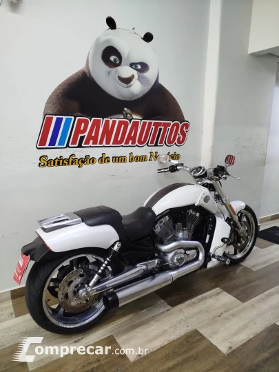 V Rod Custom 1250 cc
