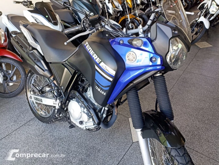 XTZ 250 TENERE/TENERE BLUEFLEX