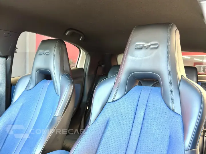 DOLPHIN MINI GS EV