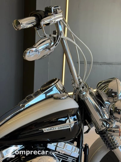 SOFTAIL DELUXE FLSTN