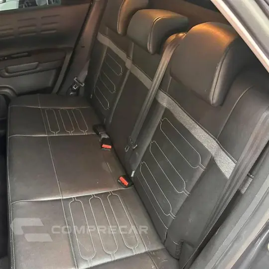 C4CACTUS SHINE T