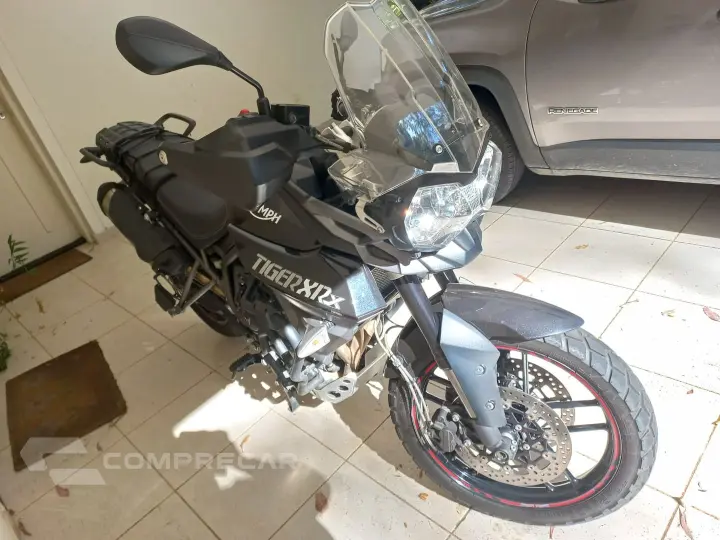 Tiger 800 Xrx