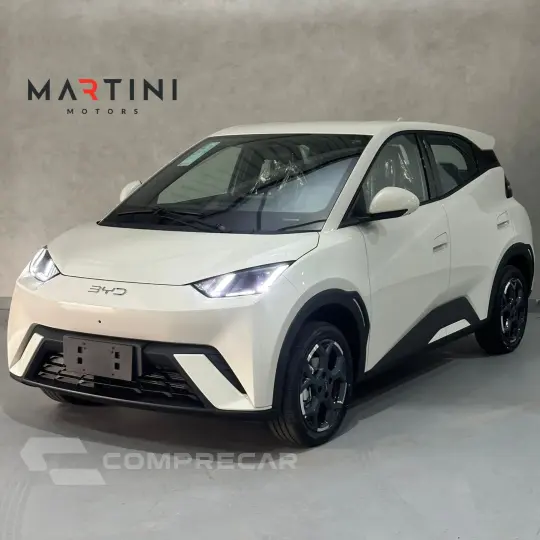 Dolphin Mini (Elétrico)