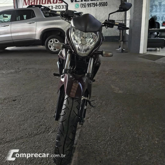 CB 300R/ 300R FLEX