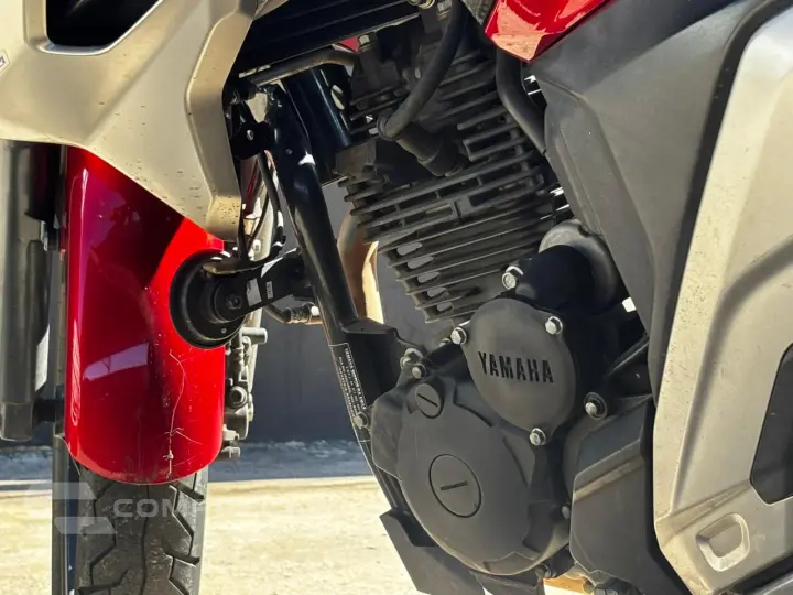 Fazer FZ25 250 cc