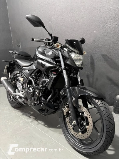 MT 03