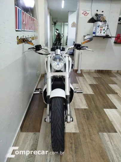 V Rod Custom 1250 cc