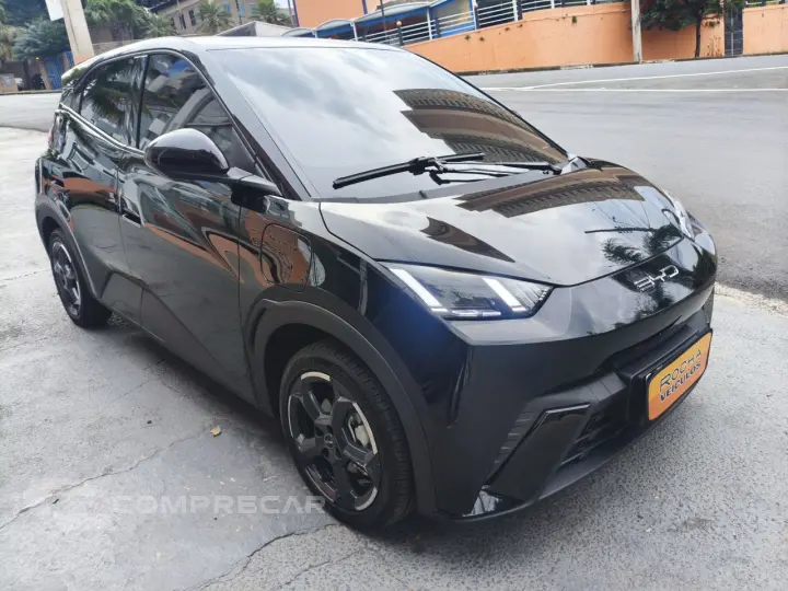 Dolphin Mini 38 KW ELÉTRICO