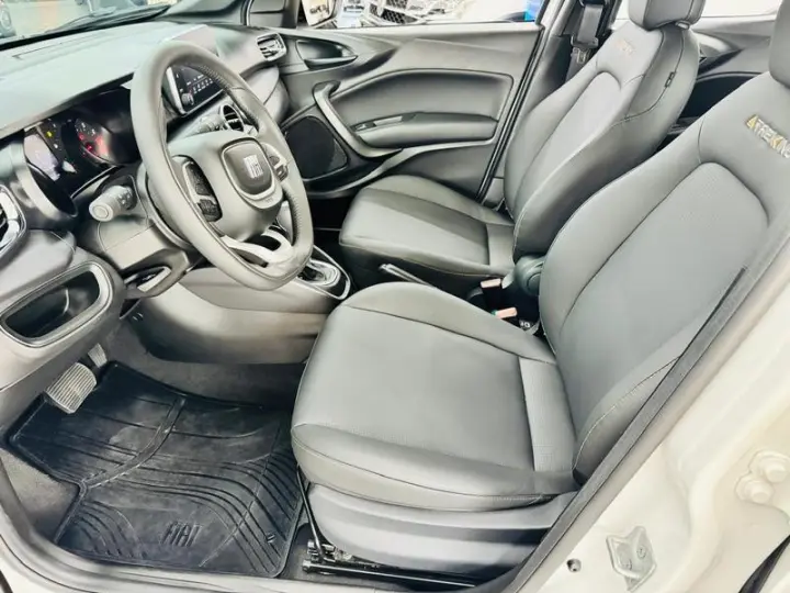 ARGO TREKKING 1.3 8V FLEX AUT