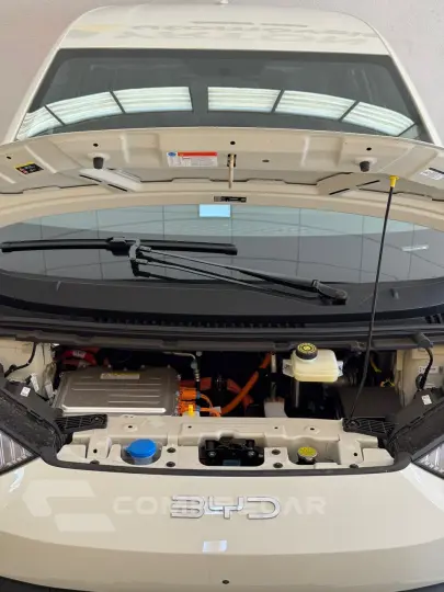 Dolphin Mini 38 KW ELÉTRICO