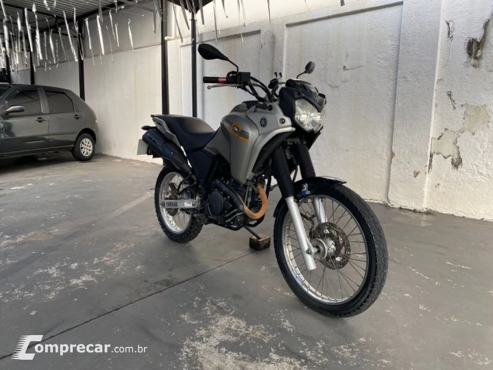 XTZ 250 TENERE/TENERE BLUEFLEX