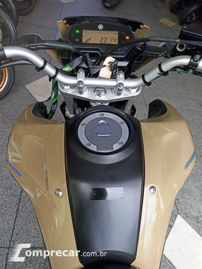 XTZ 250 LANDER 249cc/LANDER BLUEFLEX/ABS