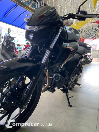 FZ 25 FAZER 250