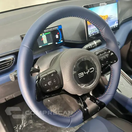 Dolphin Mini (Elétrico)