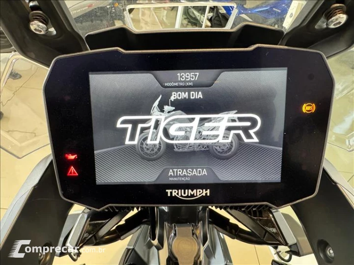 TIGER 900 GT PRO