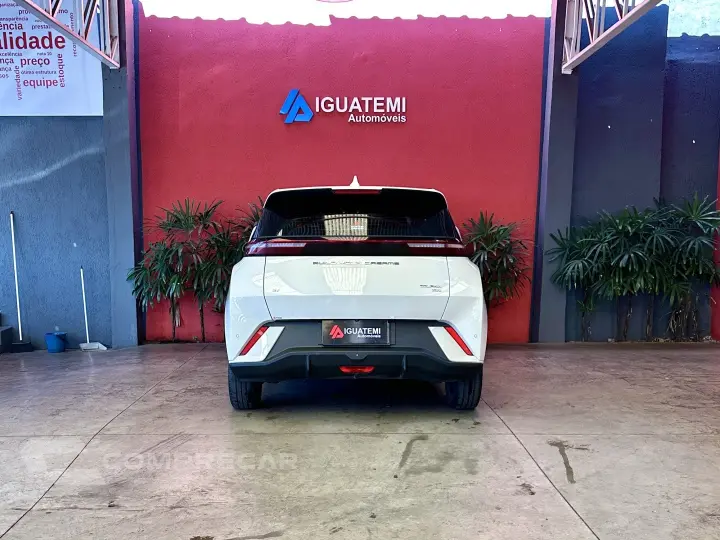 DOLPHIN MINI GS EV
