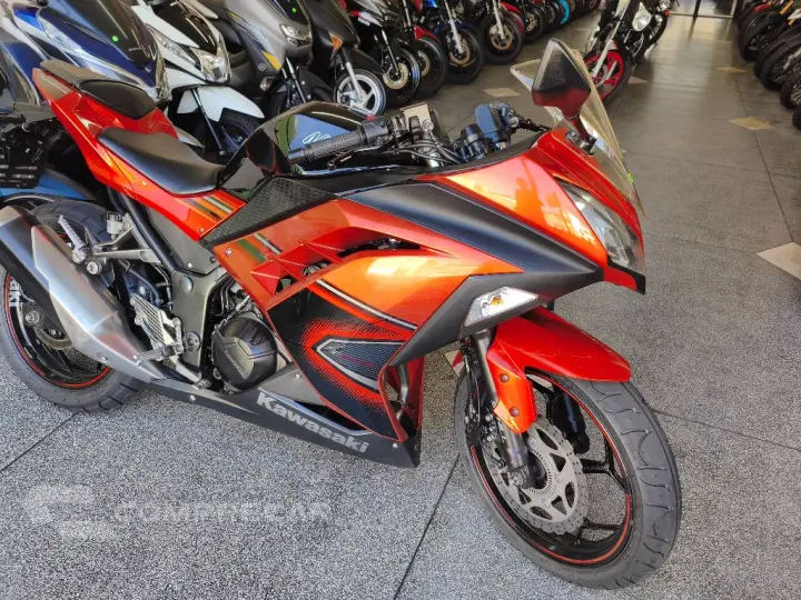 NINJA 300