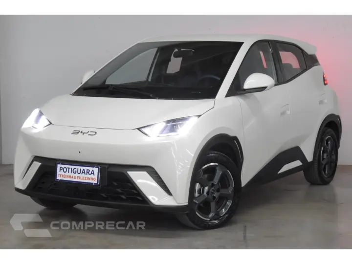 DOLPHIN MINI GS EV