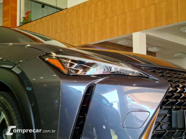 UX250H LUXURY
