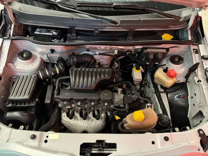 Agile 1.4 Mpfi Lt 8V Flex 4P Manual