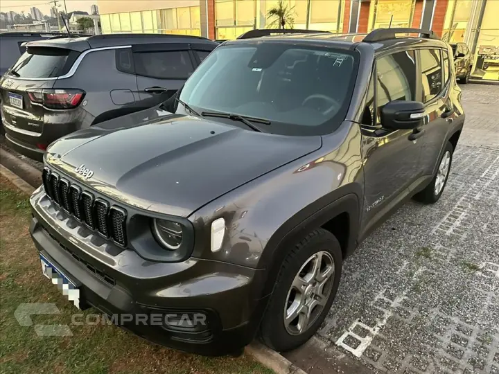 RENEGADE 1.3 T270 TURBO FLEX AT6