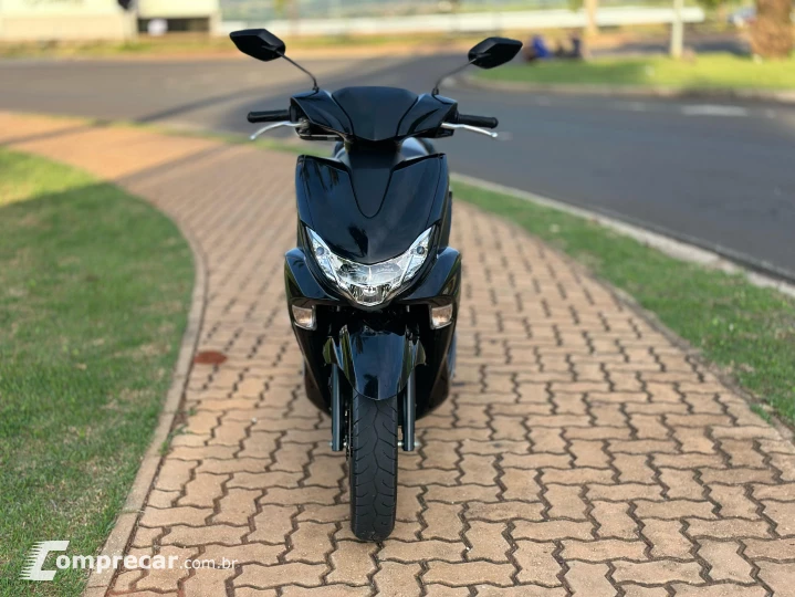 FLUO 125