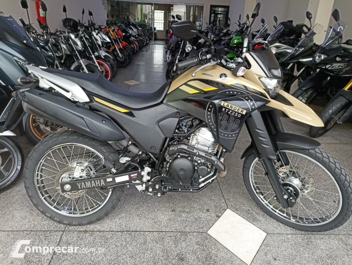 XTZ 250 LANDER 249cc/LANDER BLUEFLEX/ABS