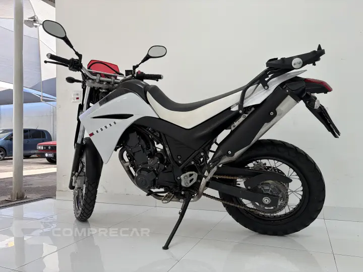 Xt